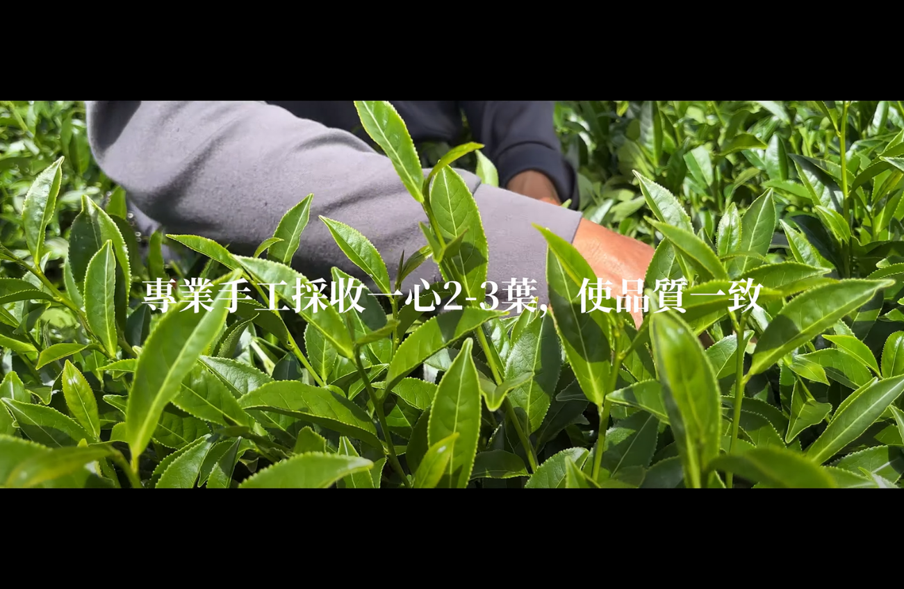 圖