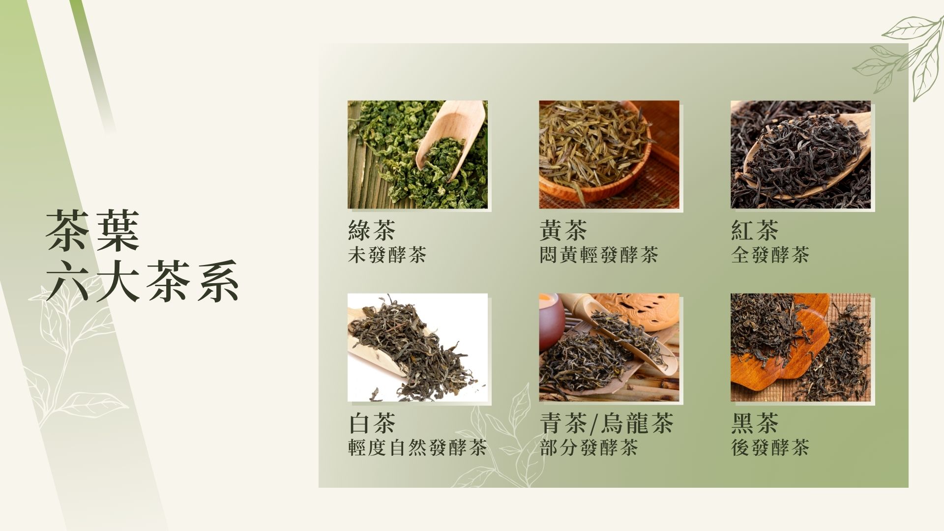 茶葉種類